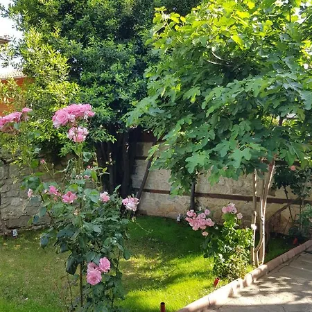 Guest house Nikoli - Traditional House *